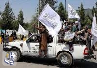 طالبان: کشت، تولید و قاچاق مواد مخدر در افغانستان ریشه‌کن شد