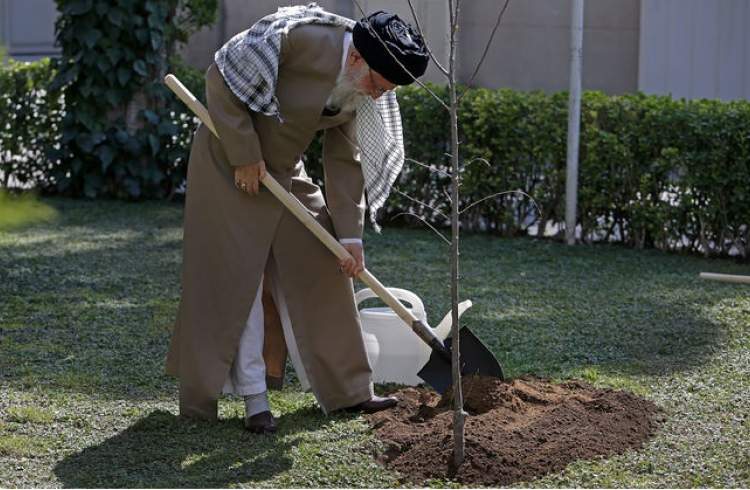 حفظ پوشش گیاهی باید جایگاه واقعی خود را در فرهنگ عمومی پیدا کند