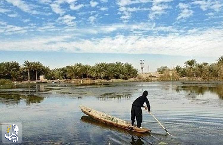 تعاون إيراني ياباني للحفاظ على المستنقعات المهمة في البلاد