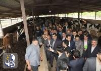 وزیر جهاد کشاورزی: نهاده شش ماهه اول سال تامین شده است