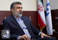كمالوندي: ايران لن تتنازل عن حقوقها المشروعة امام الضغوط السياسية
