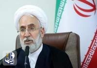 دادستان کل کشور: هرگونه اقدام که موجب القای پیروزی زودهنگام یک نامزد شود، تحت پیگرد قرار خواهد گرفت