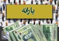 سخنگوی سازمان هدفمندی، شایعه قطع یارانه‌ها را تکذیب کرد